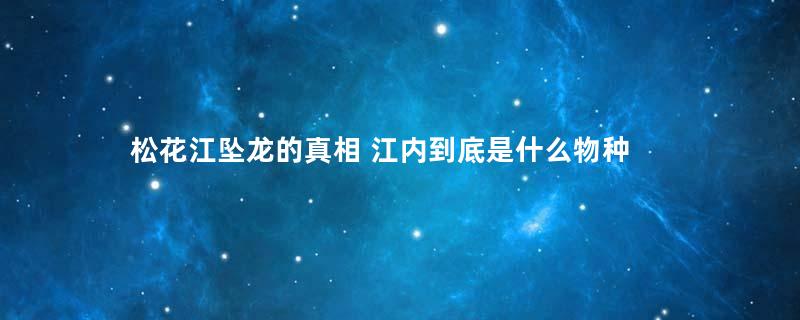 松花江坠龙的真相 江内到底是什么物种